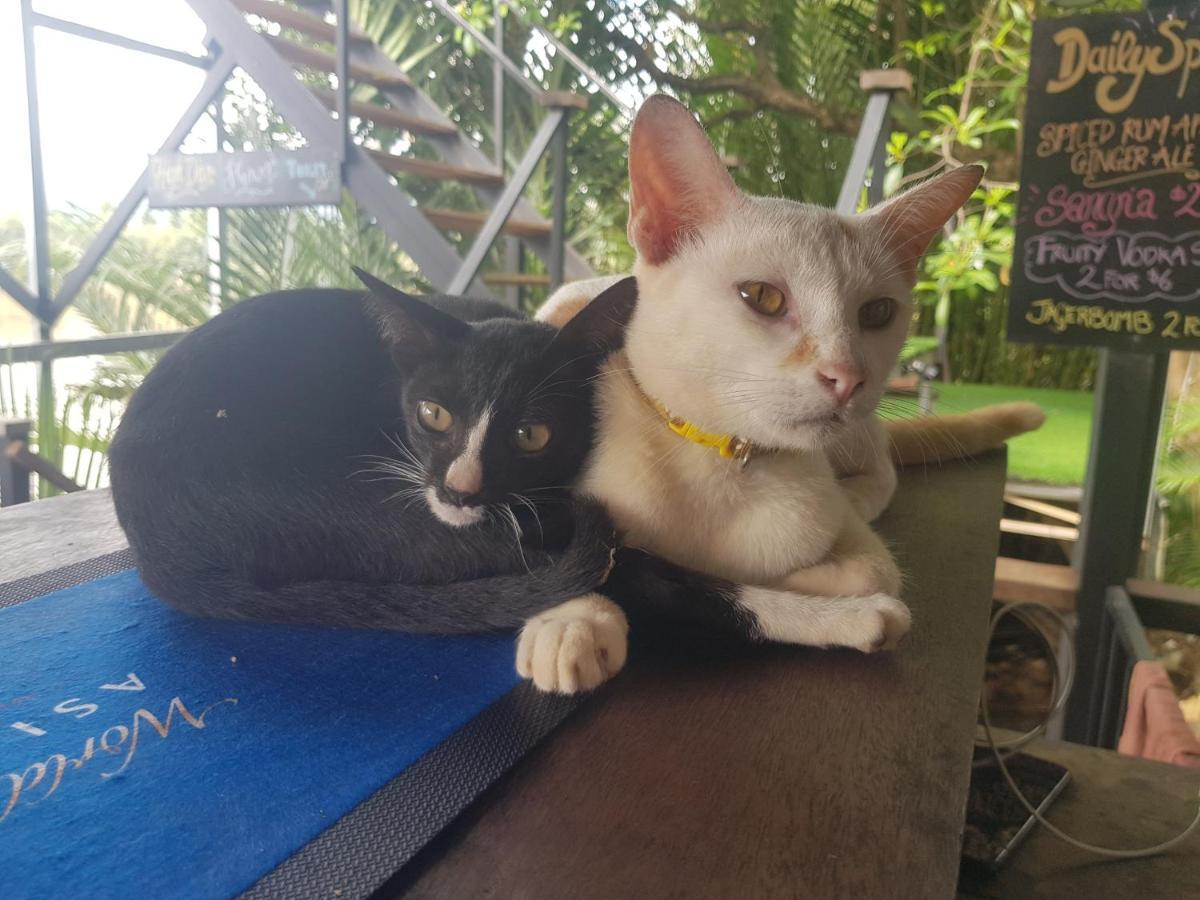 The Hideaway Ξενοδοχείο Kampot Εξωτερικό φωτογραφία